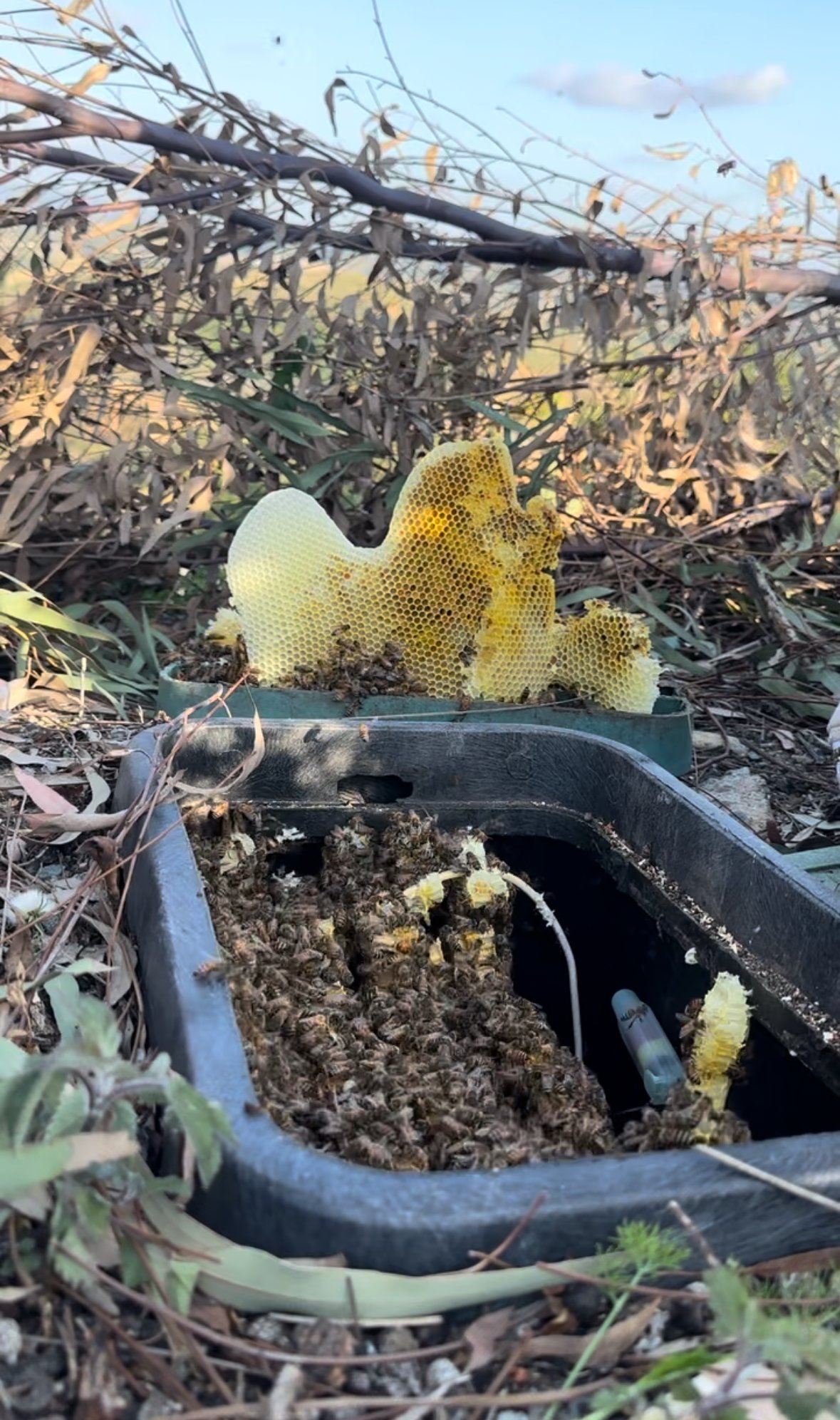 Irrigation Box Removal