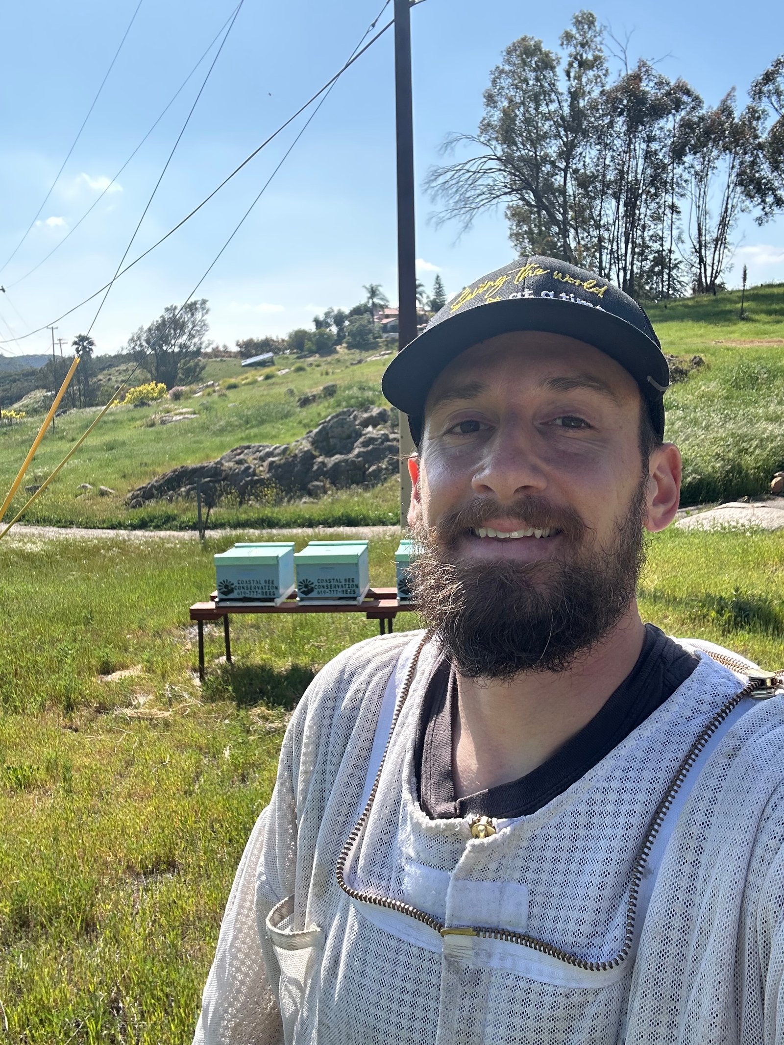 Bee Removal in Poway
